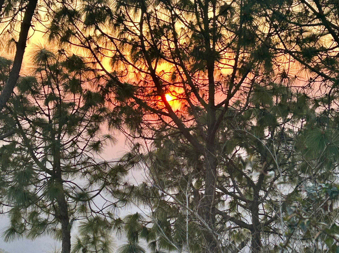 Baikunth Resort Kasauli By Leisure Hotels主图