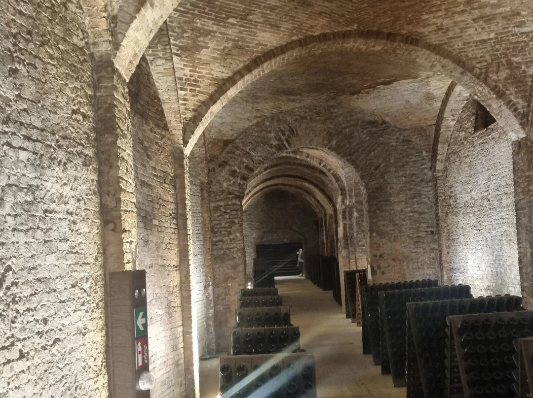 Cantine Bosca - Cattedrali Sotterranee景点图片