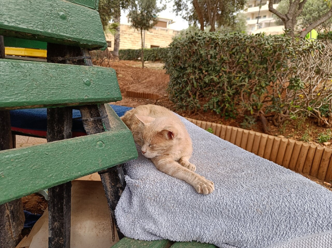 Independence Gardens-斯利马必去景点