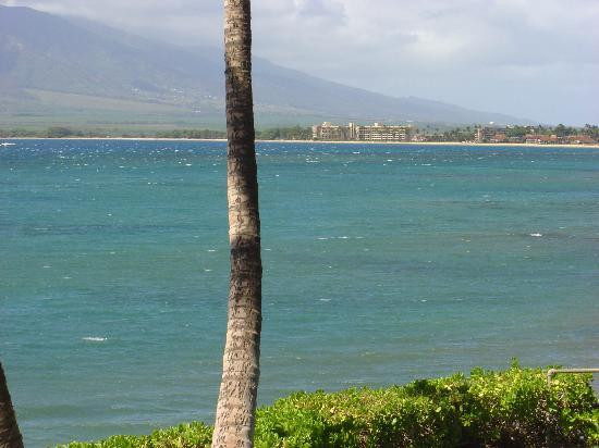 Maui Sugar Beach Inn主图