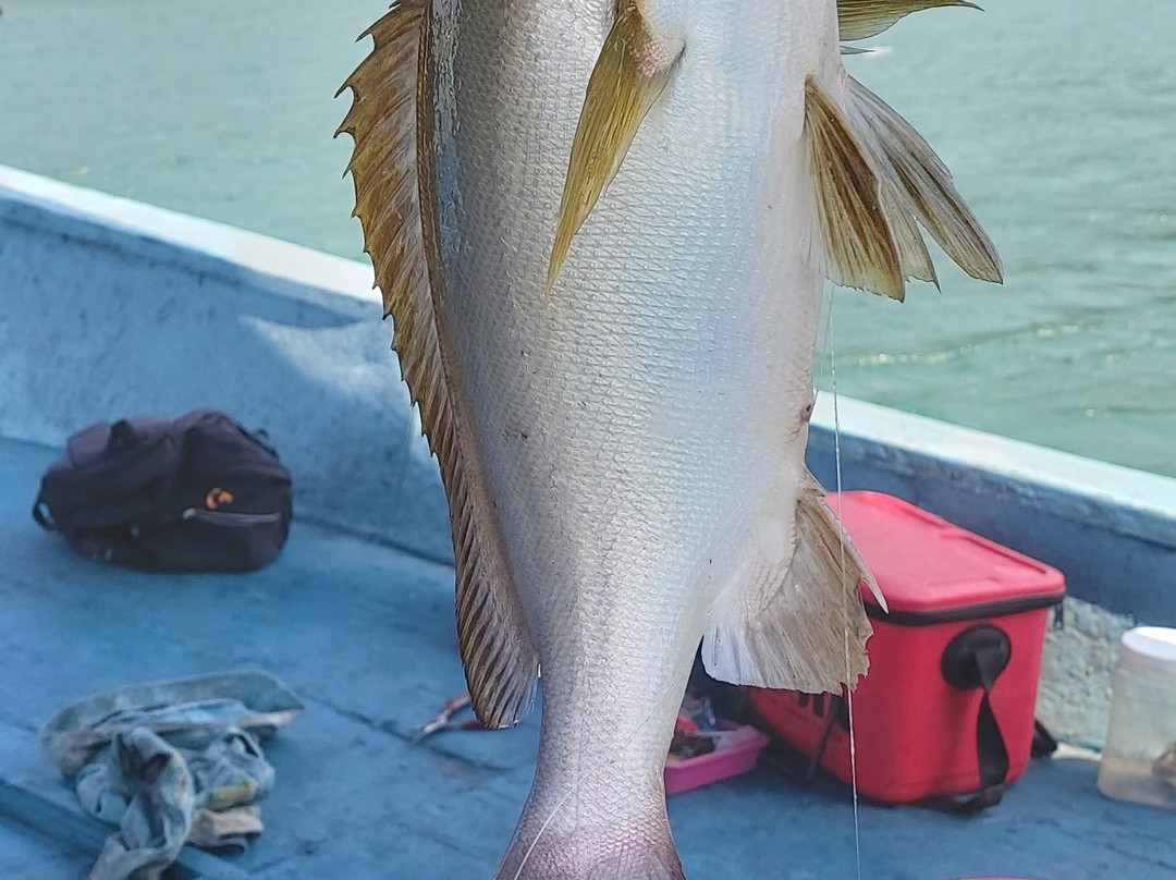 FishingFeel-岘港必去景点