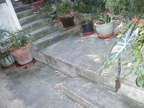 阿洛哈天堂客栈主图