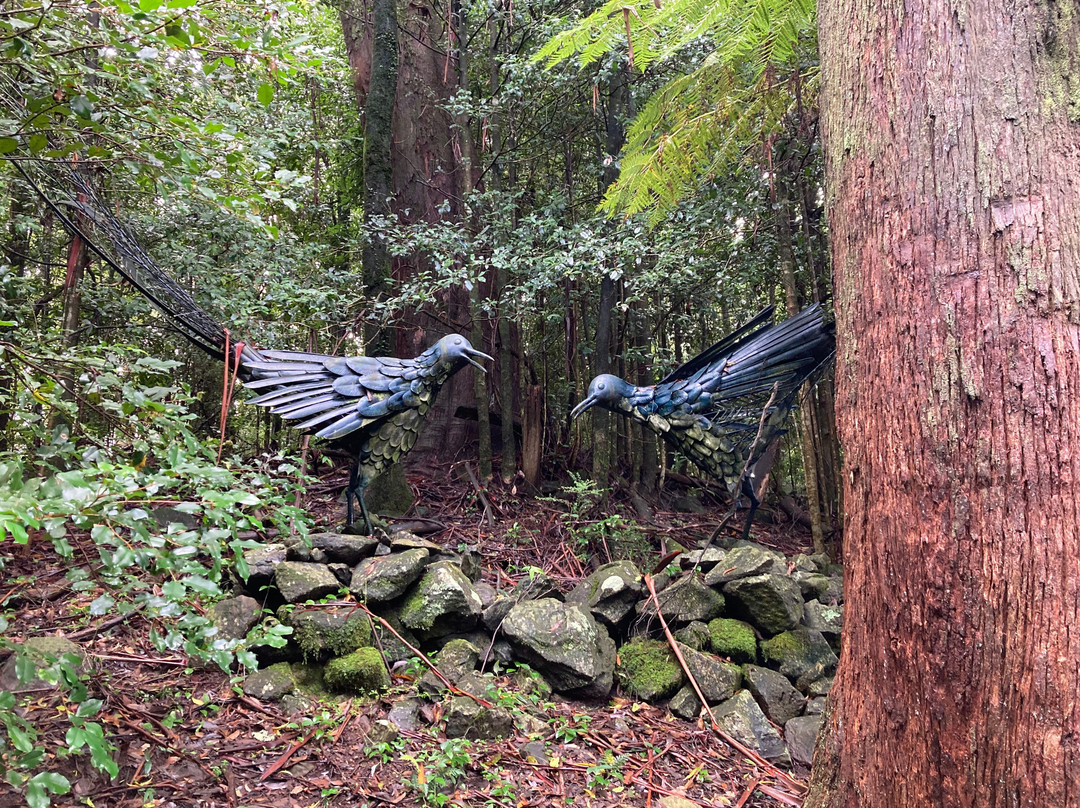 The Blue Mountains Botanic Garden景点图片