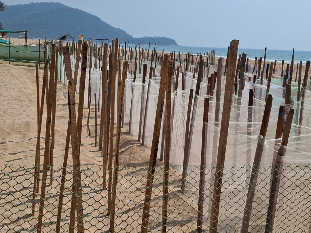 Cotigao Wildlife Sanctuary - Turtle Nests-雅高达必去景点