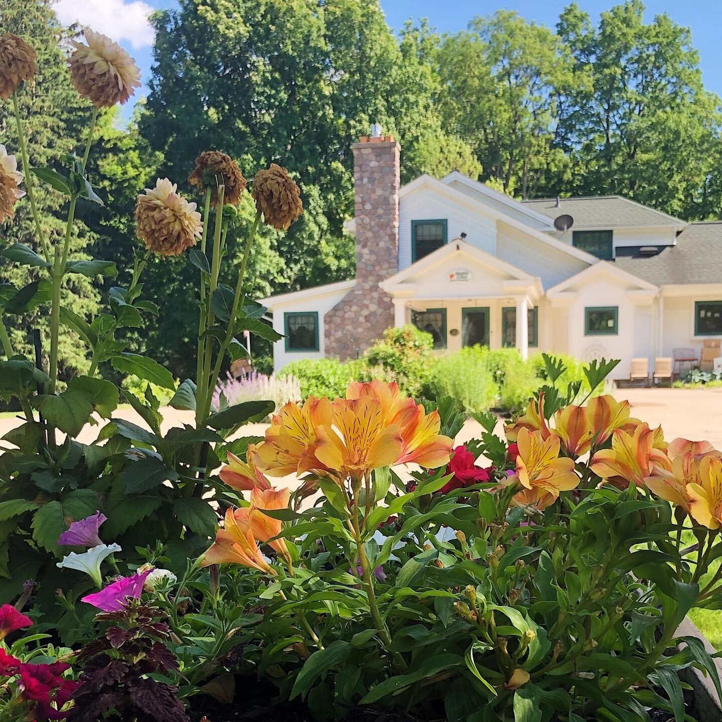 Maple Cove Bed & Breakfast And The August House-官方