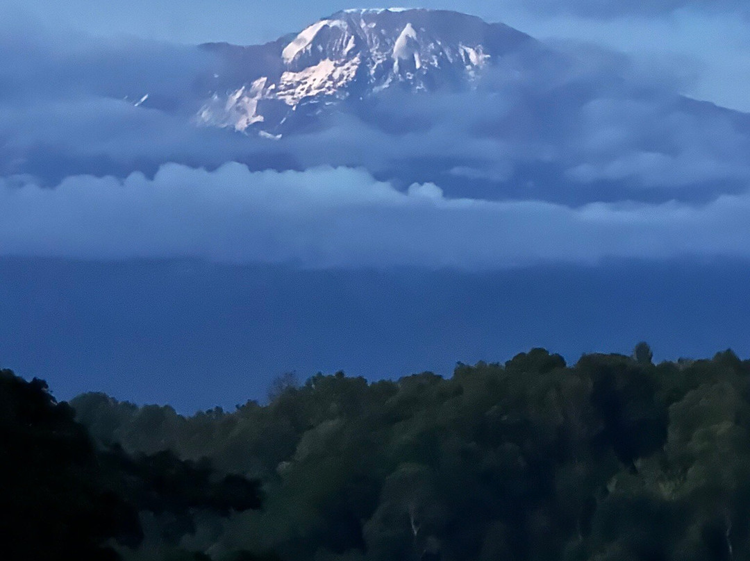 Furahia Tanzania Safari & Trekking Ltd-阿鲁沙必去景点