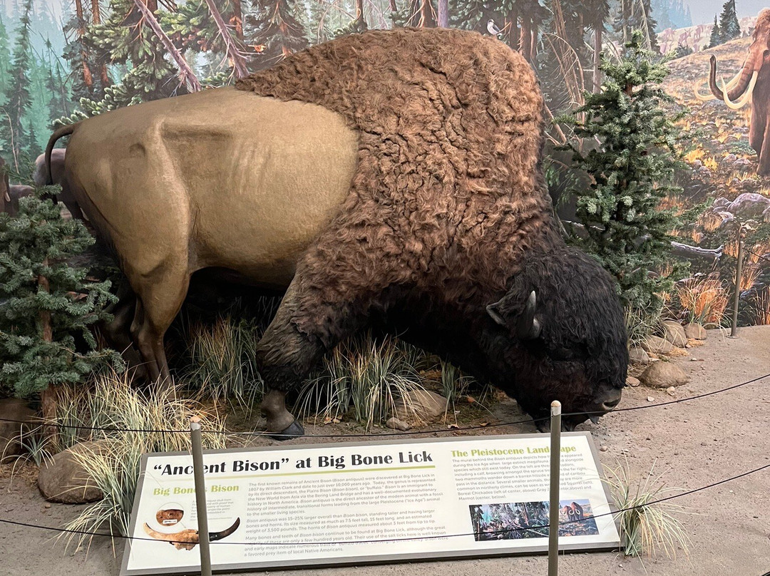 Big Bone Lick State Historic Site景点图片