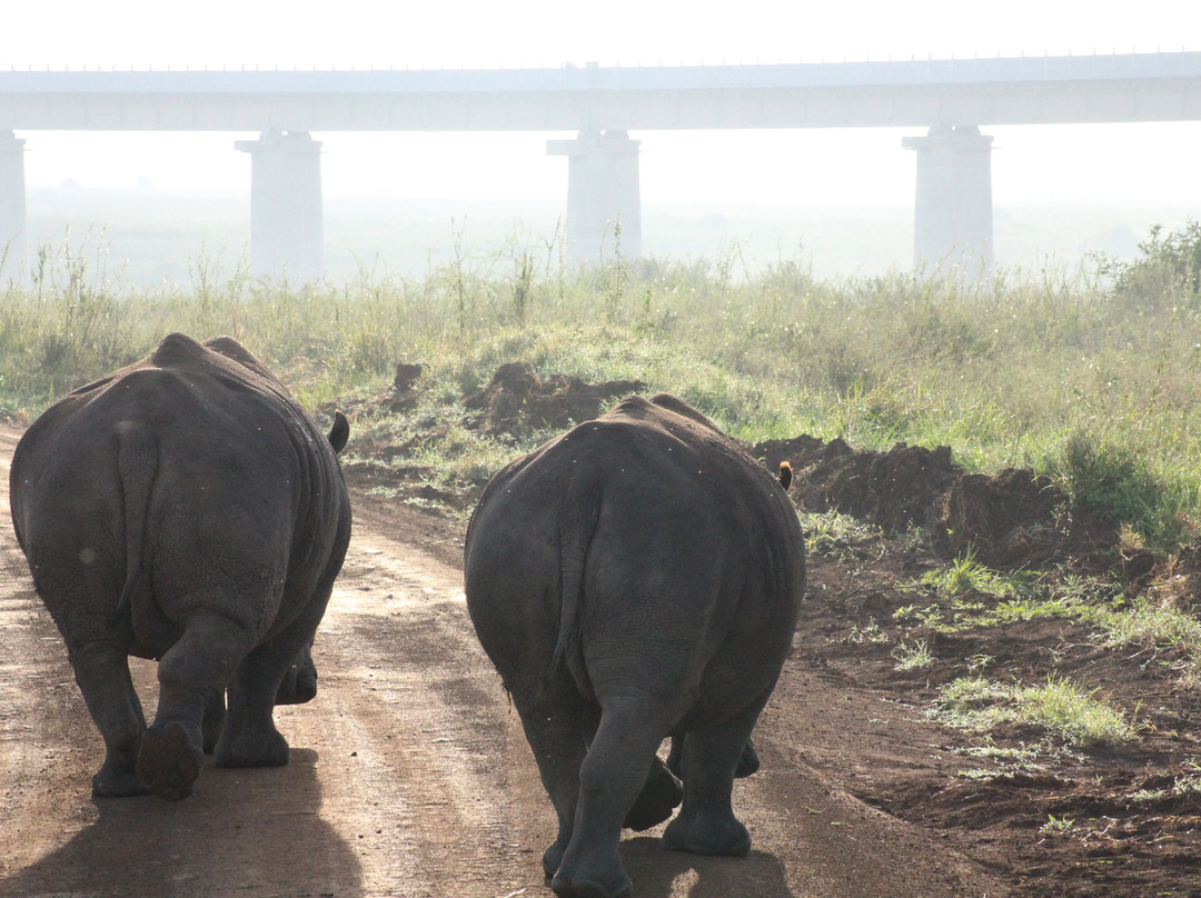 Heritawi safaris-Karen必去景点