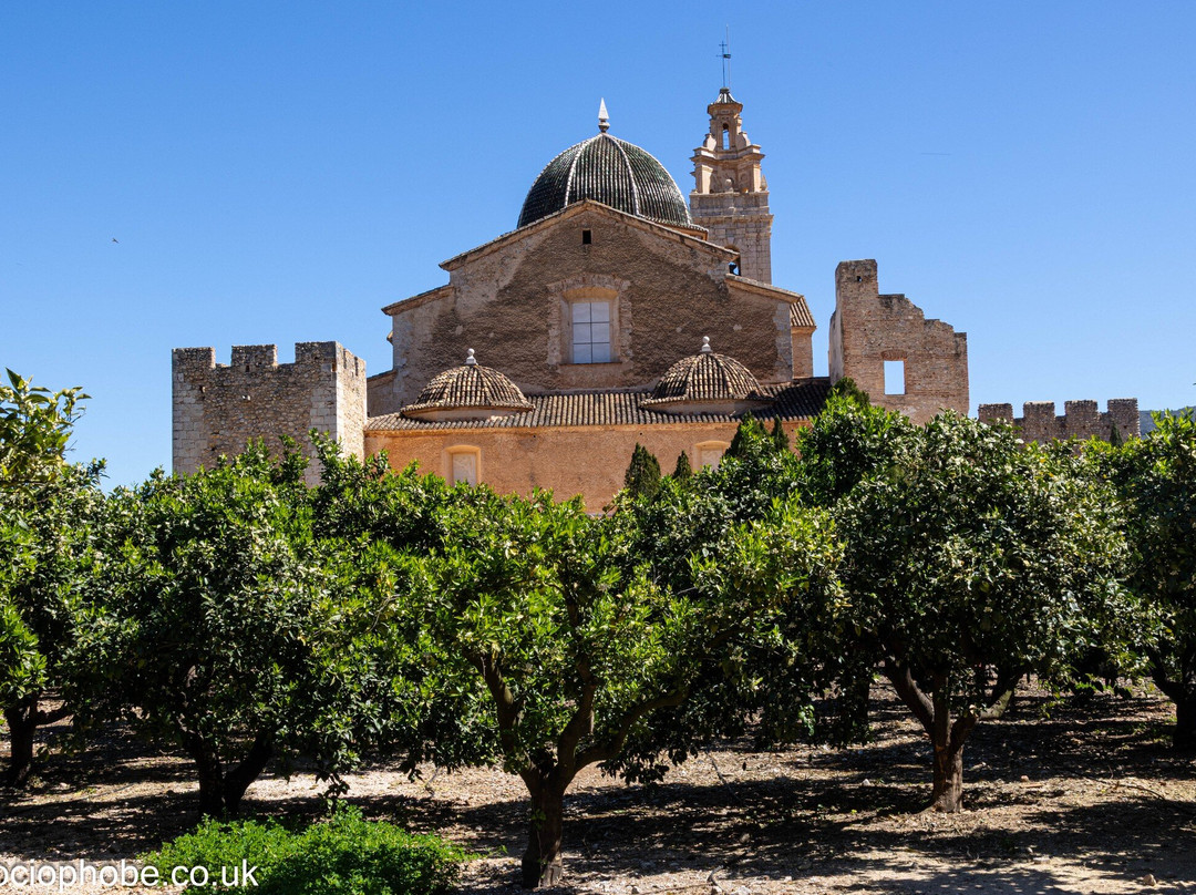 Real Monasterio de la Valldigna景点图片