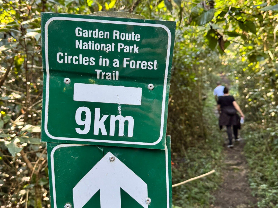 Circles in the Forest Trail-克尼斯纳必去景点