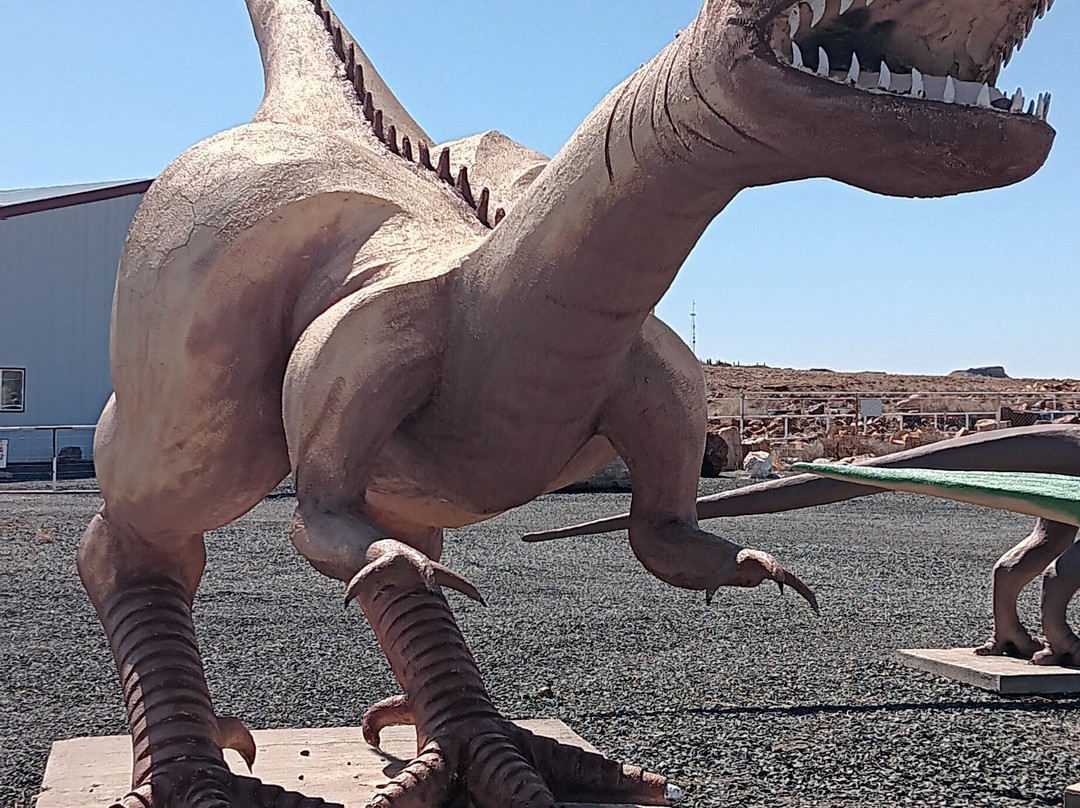 Jim Gray's Petrified Wood Co.-霍尔布鲁克必去景点