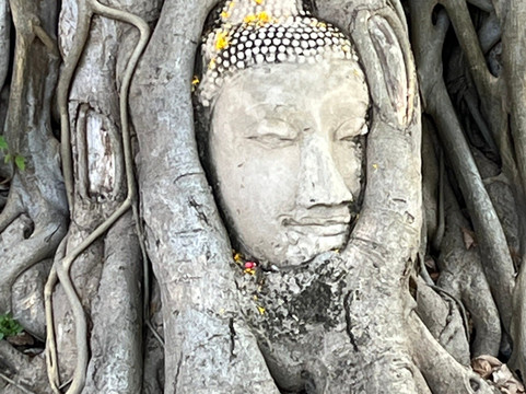 Somchai Bigtaxi-曼谷必去景点