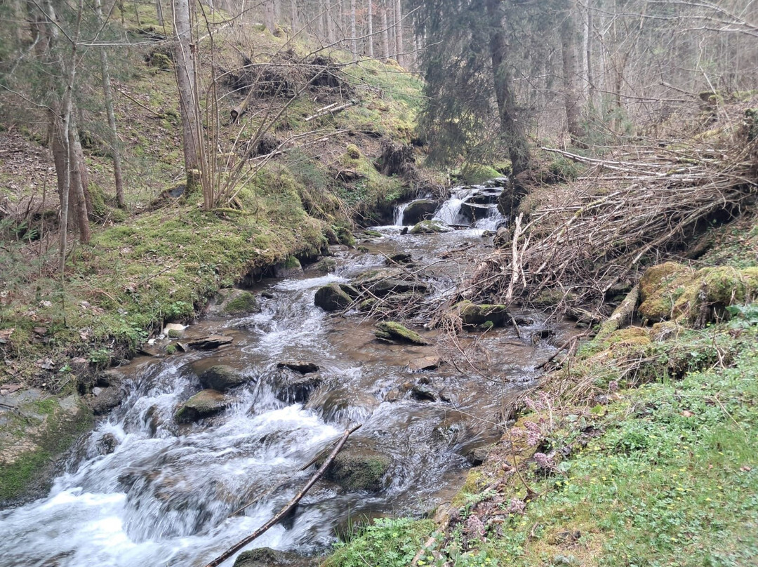 Graggerschlucht