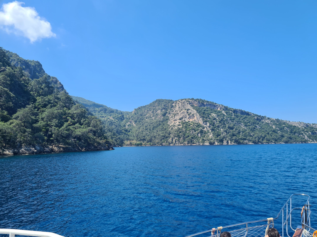 Jerry's Daily Boat Trip景点图片