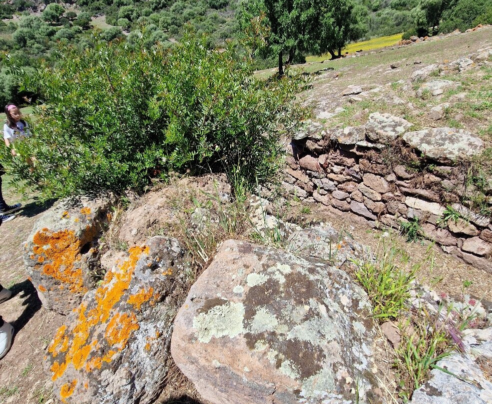 Necropoli di Montessu-Villaperuccio必去景点