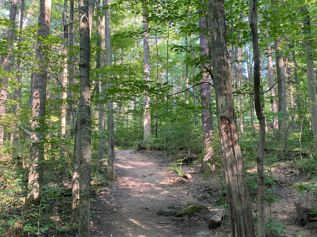 Hocking Hills State Park-洛根必去景点