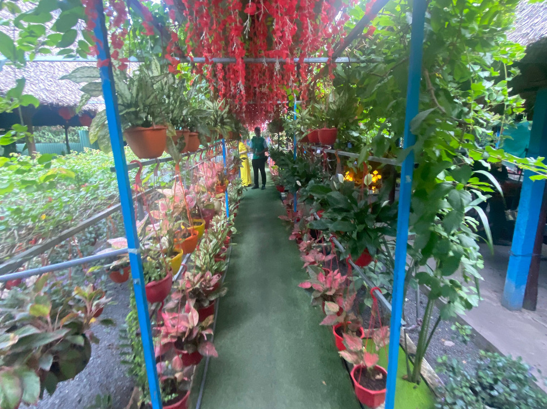 Halong Bay Tour-河内必去景点