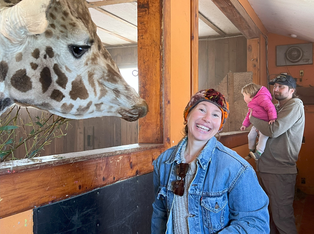 B Bryan Preserve-Point Arena必去景点