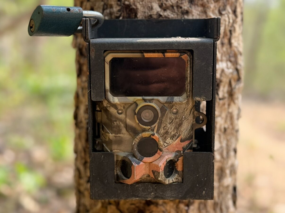 Wild Trails Nepal-Thakurdwara必去景点