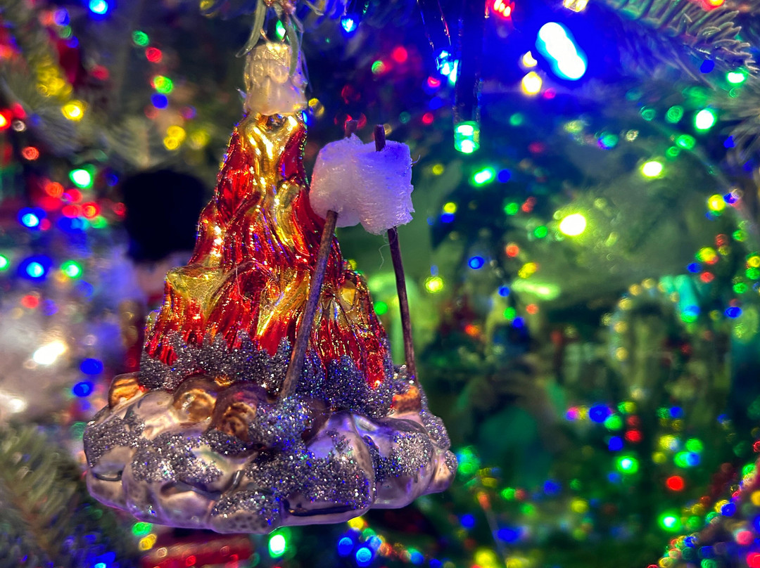 The Christmas Place-皮金福奇必去景点