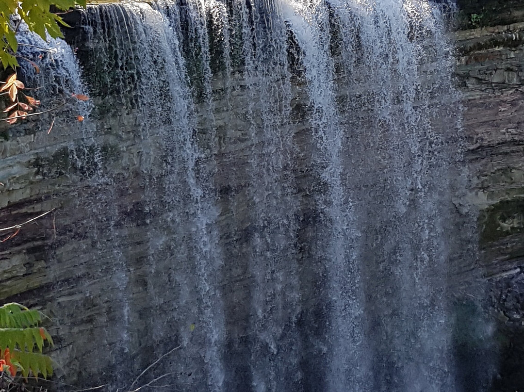 Jordan House Hotel主图