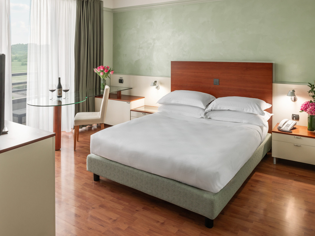 Leonardo da Vinci Hotel Erba主图