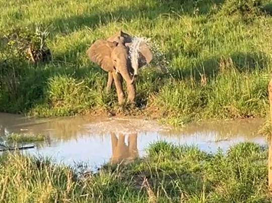 Rio Safaris Uganda-Gulu必去景点