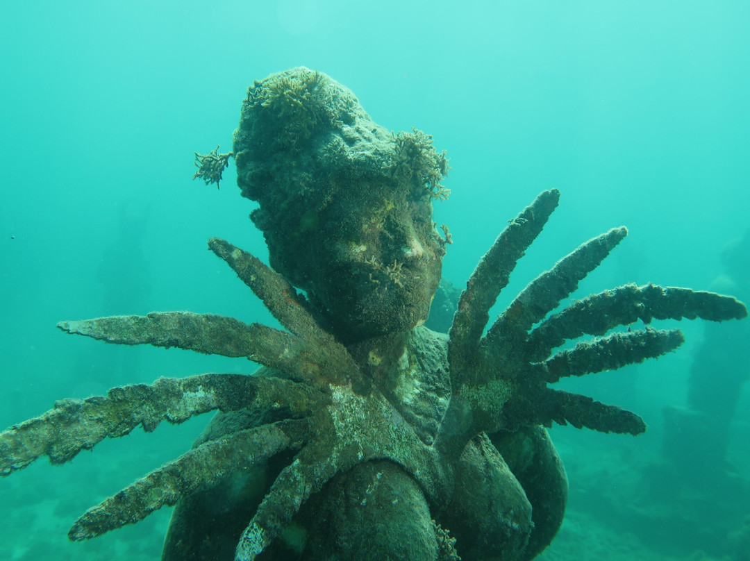 Dive Grenada-Grand Anse必去景点