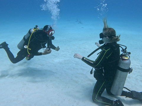 The Dive Machine-普拉亚德尔卡曼必去景点