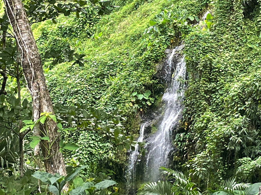 Anse Des Cascades景点图片