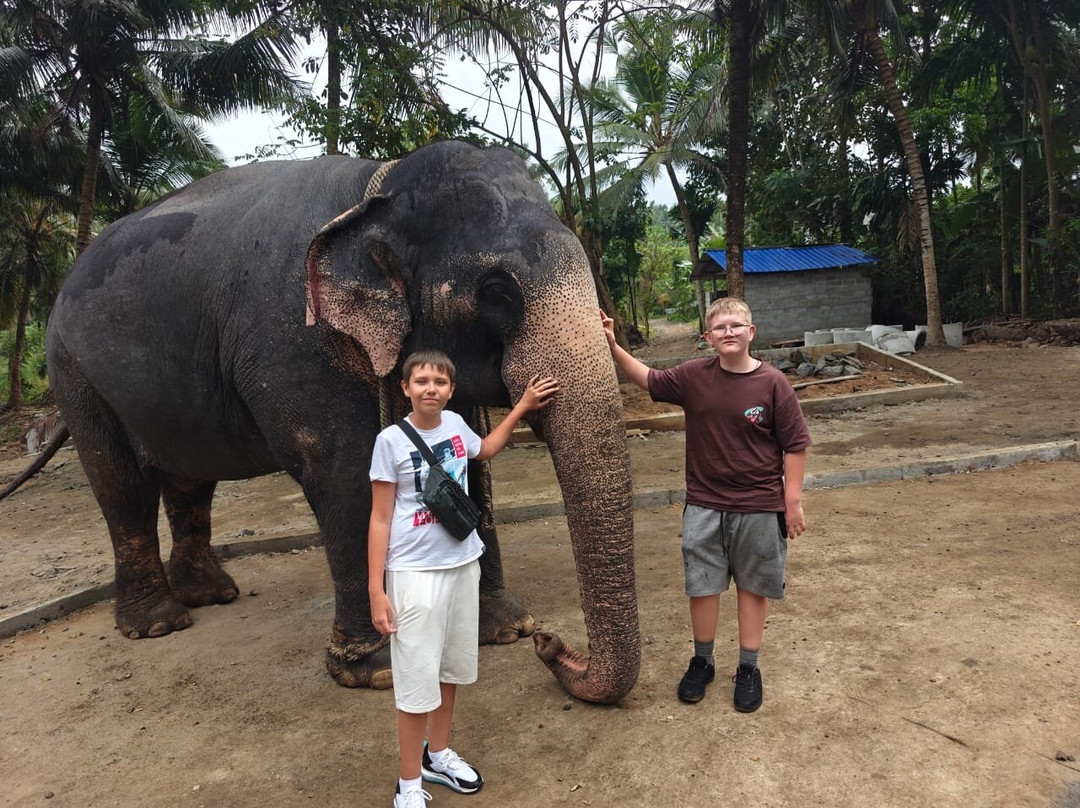 Ceylona Tours-Haburugala必去景点