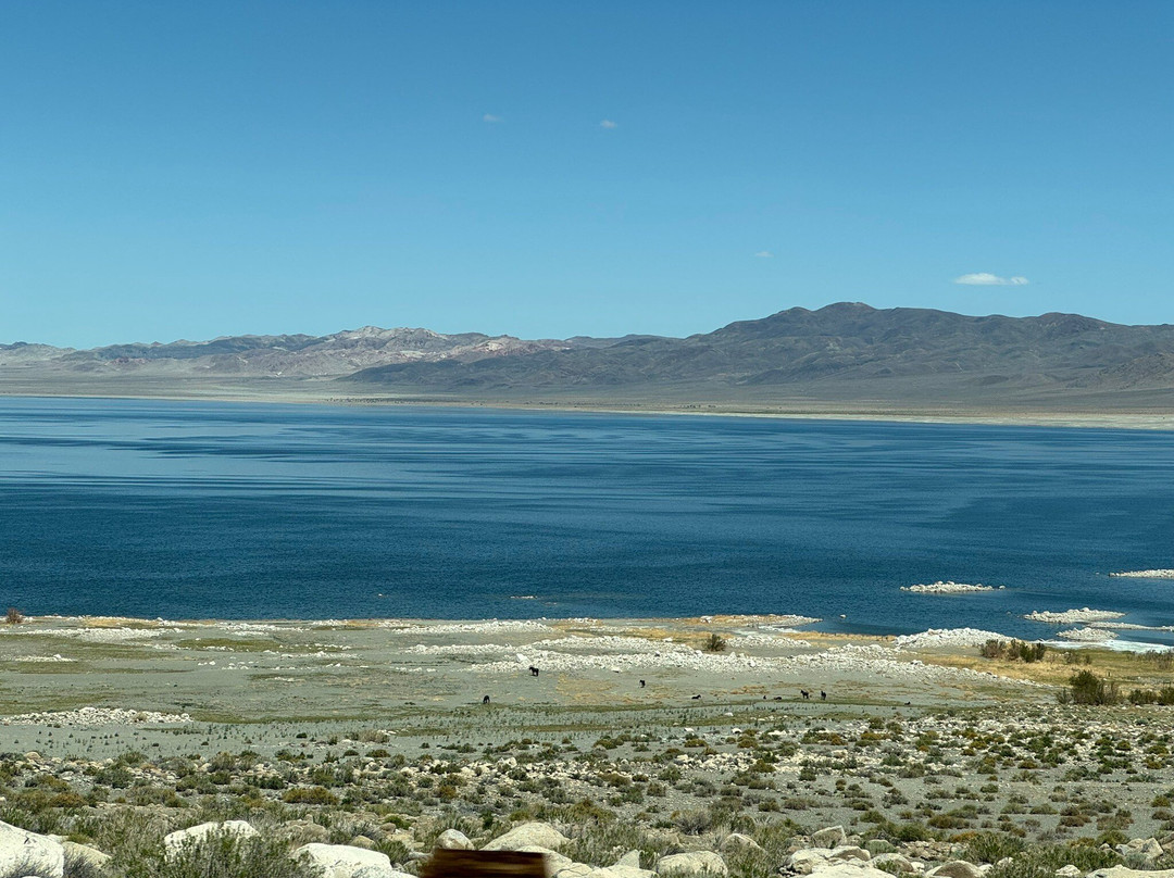 Walker Lake Recreation Area-Hawthorne必去景点