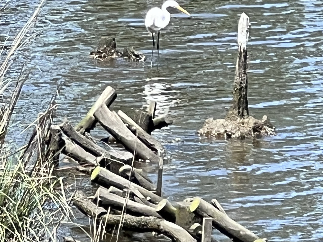 Delaware Botanic Gardens-Dagsboro必去景点