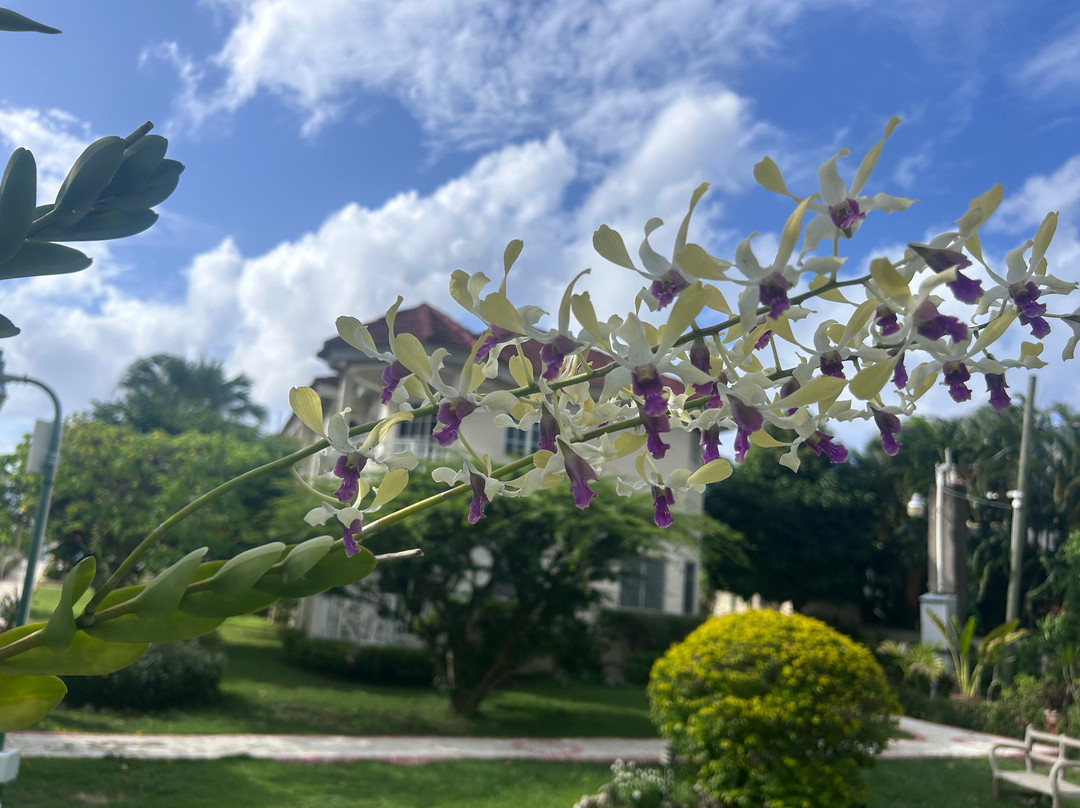 Piper's Cove Resort主图