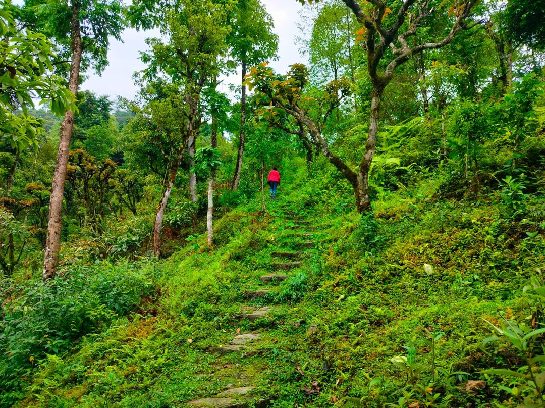 Selep Village Homestay主图