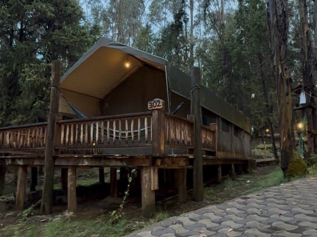 Kuriftu Entoto Adventure Park景点图片