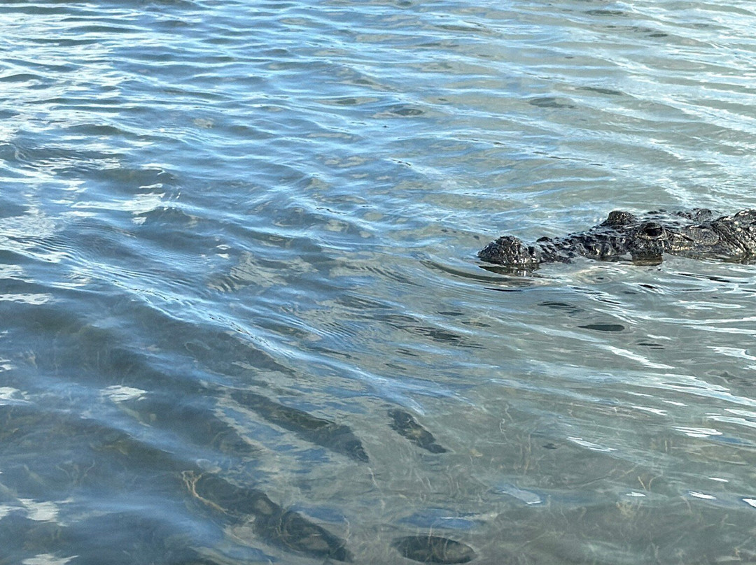 Río Lagartos Experience By Jorge N-里奥拉加托斯必去景点