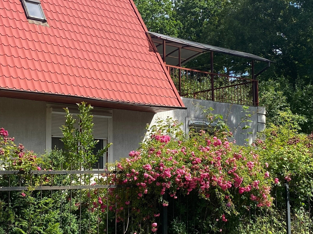 German Brakhert's House Museum-Otradnoye必去景点