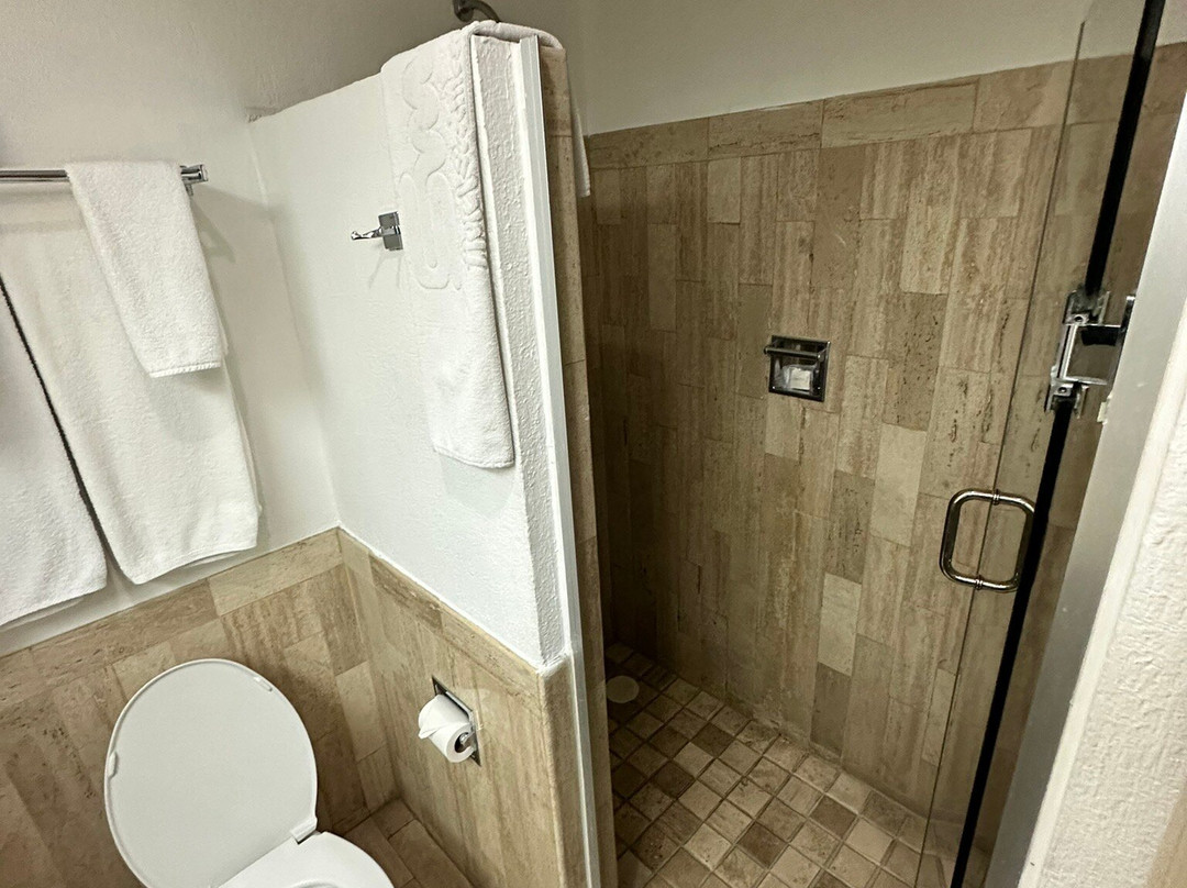 Hotel San Marcos主图