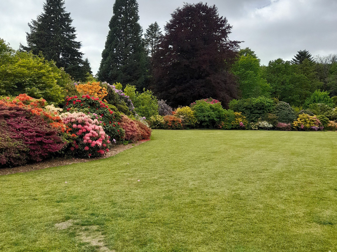 Stody Lodge Gardens景点图片