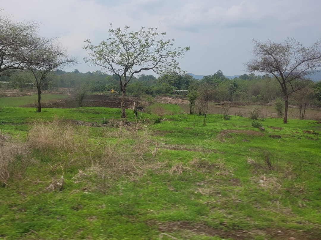 Tansa Lake-塔那必去景点