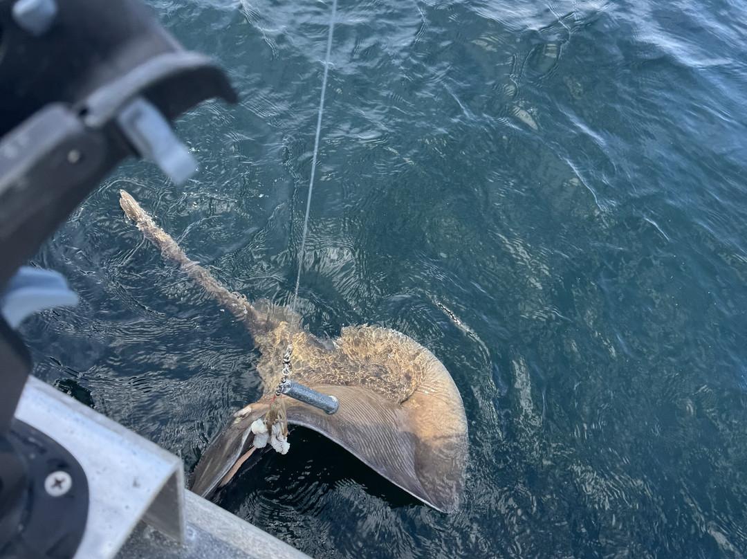 Svenson Sportfishing-凯奇坎必去景点