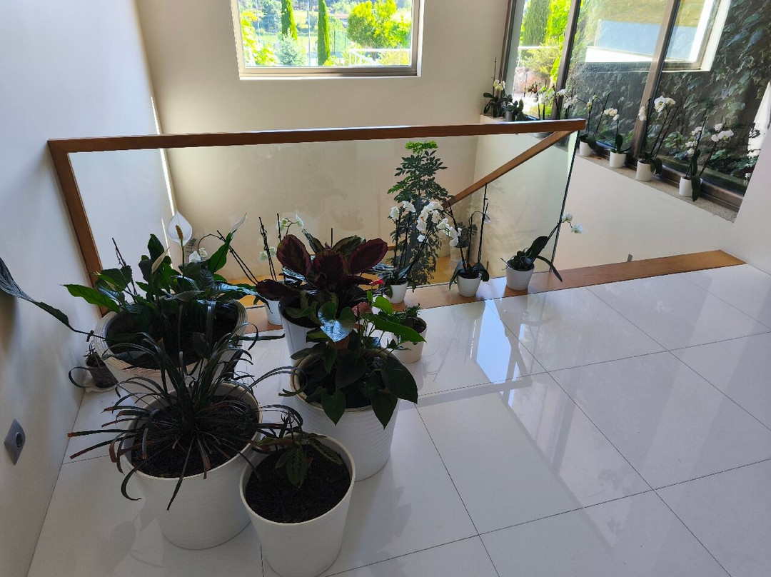 Casas Novas Countryside Hotel Spa & Events主图