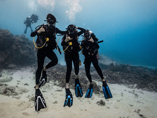 Aquatic Life Divers, Kona-凯鲁瓦-柯纳必去景点