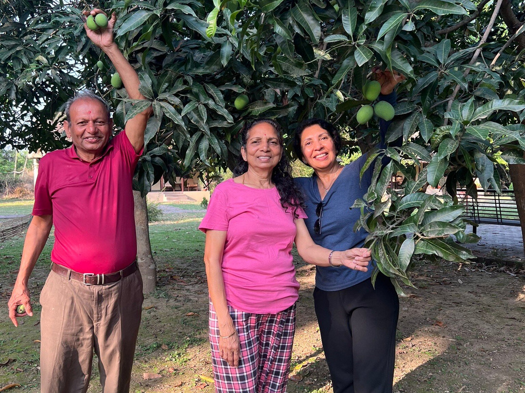 Lumbini Buddha Garden Resort主图