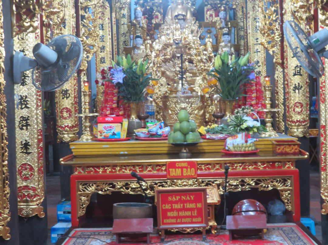 Long Tien Pagoda-下龙湾必去景点