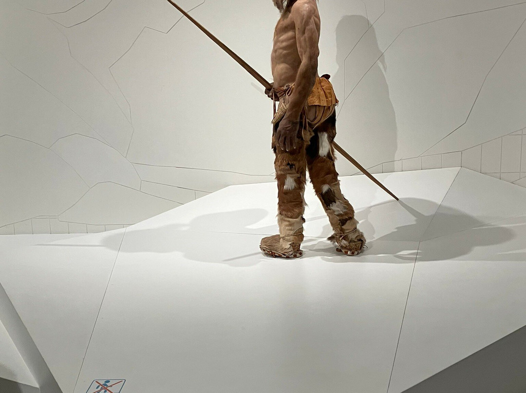 South Tyrol Museum of Archaeology景点图片