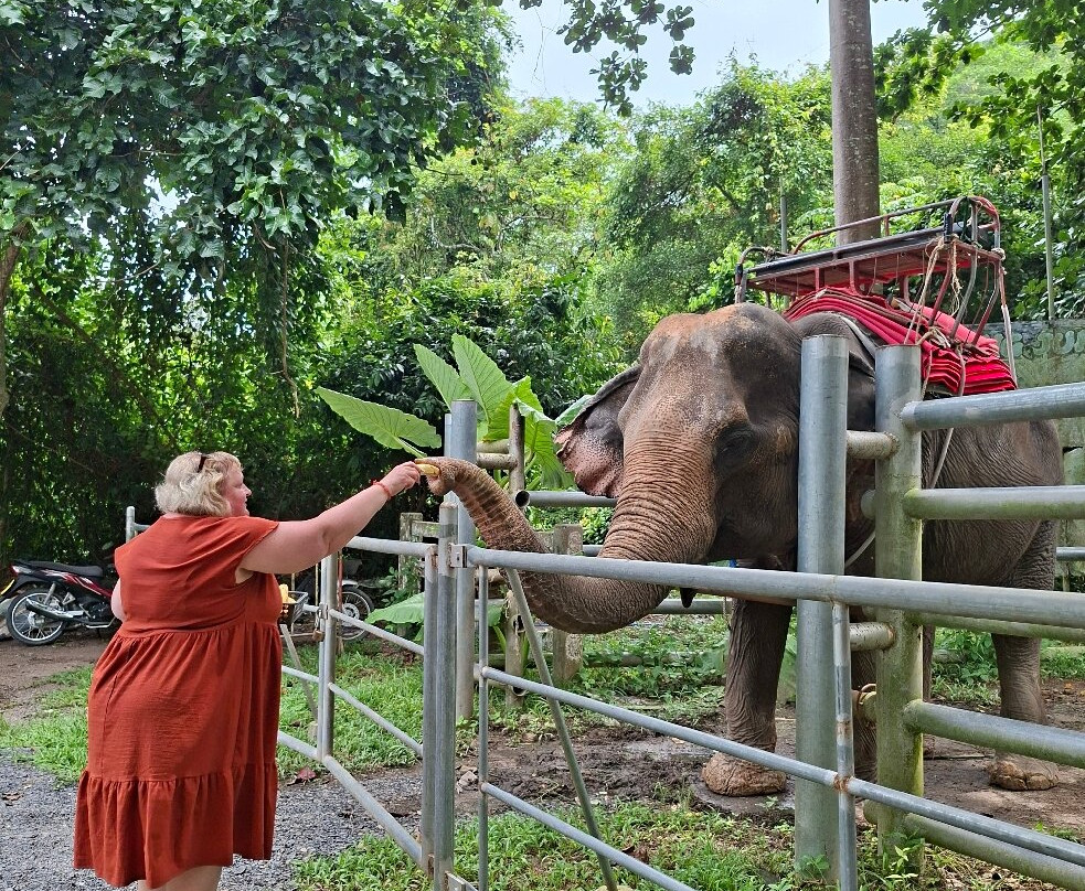 Go Samui Tour-千手观音庙必去景点