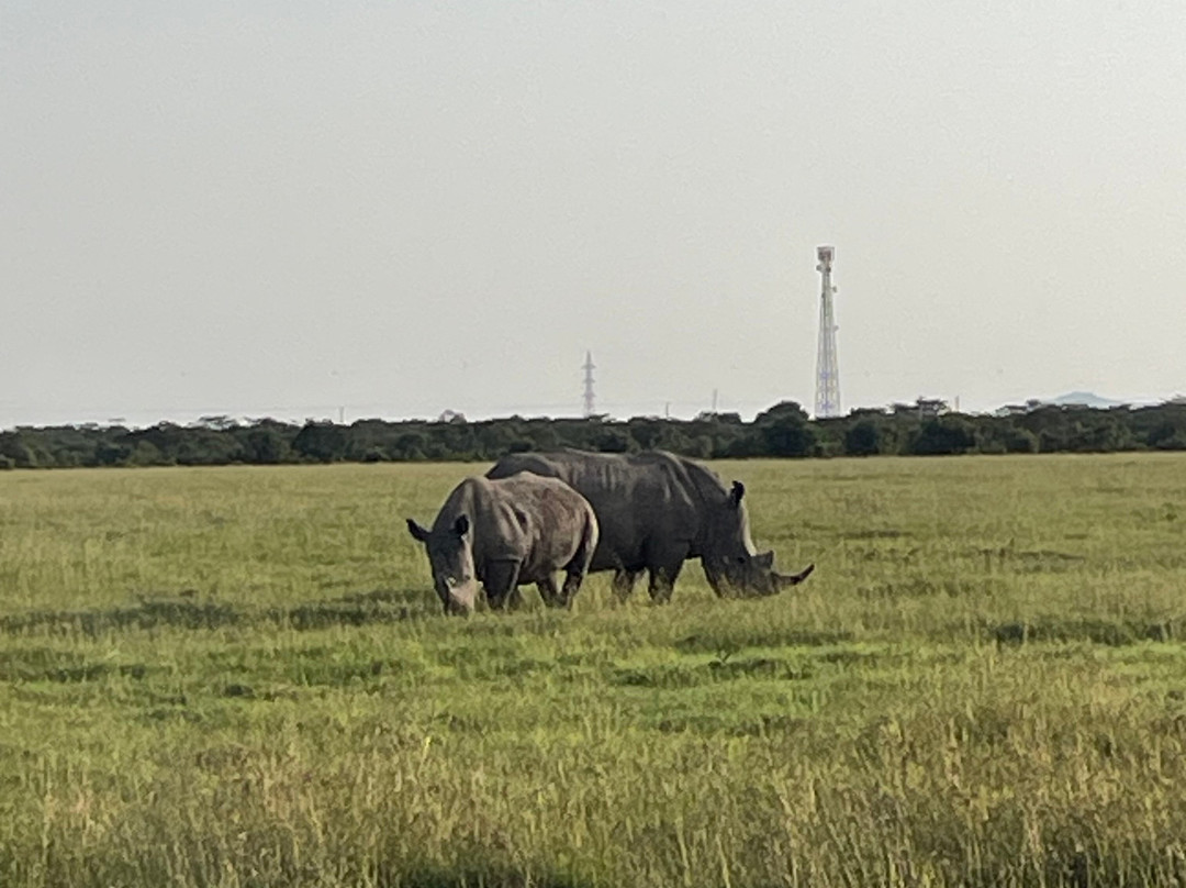 Sailepu Safari Adventures-南由基必去景点