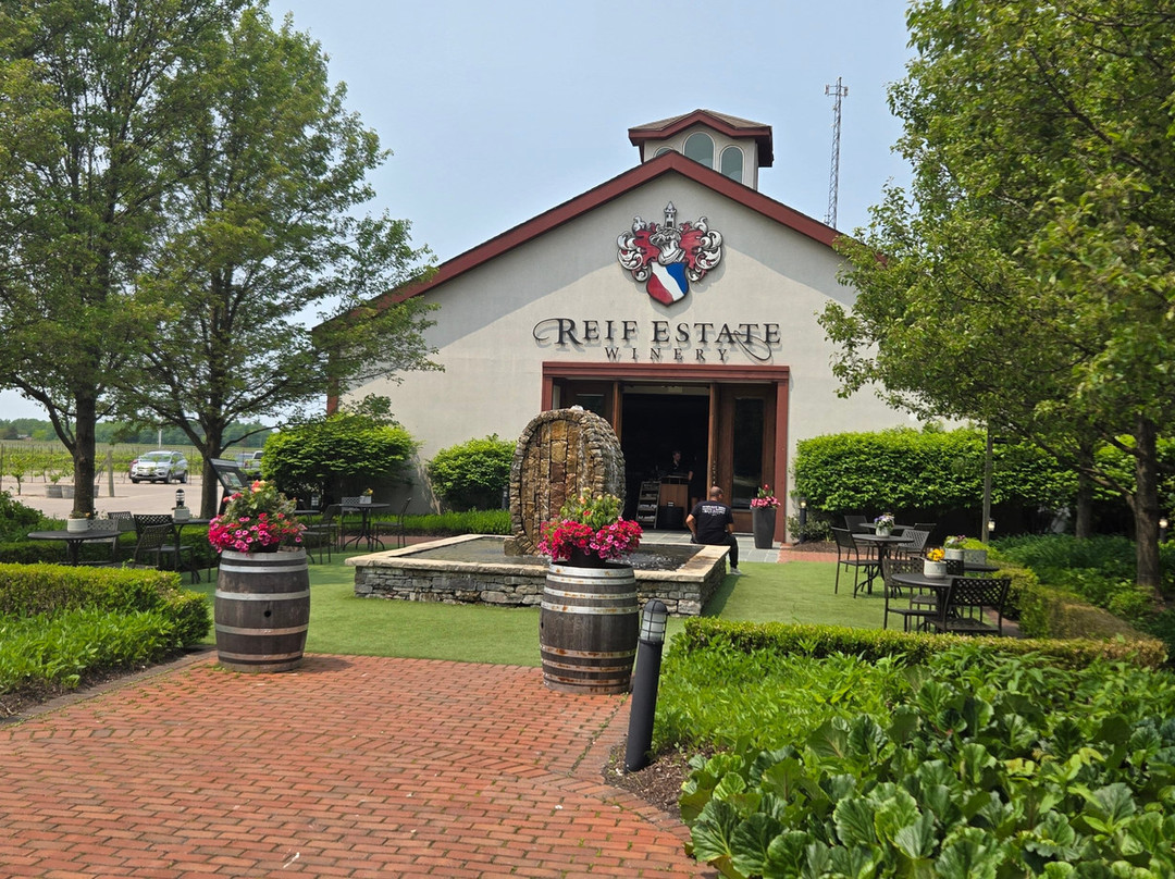 Reif Estate Winery景点图片